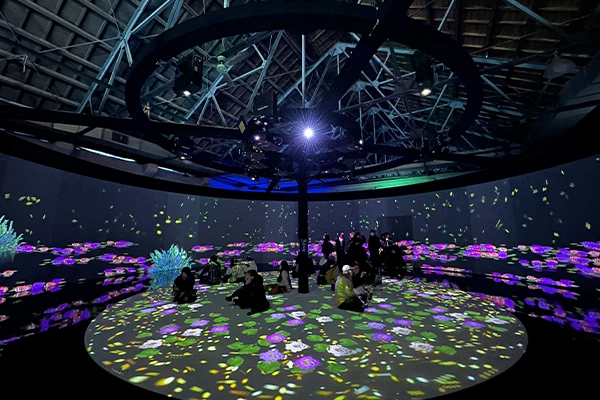 主題專展